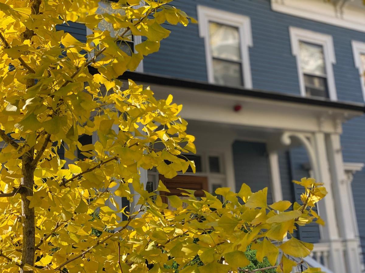 Ginkgo House On Harvard Cambridge Esterno foto
