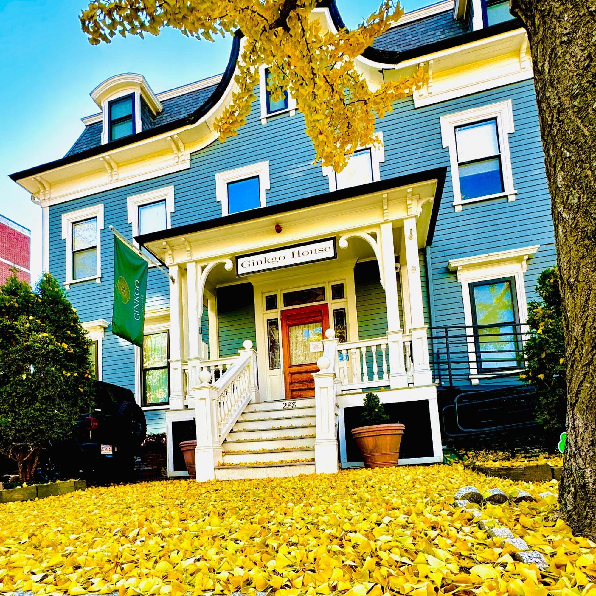 Ginkgo House On Harvard Cambridge Esterno foto